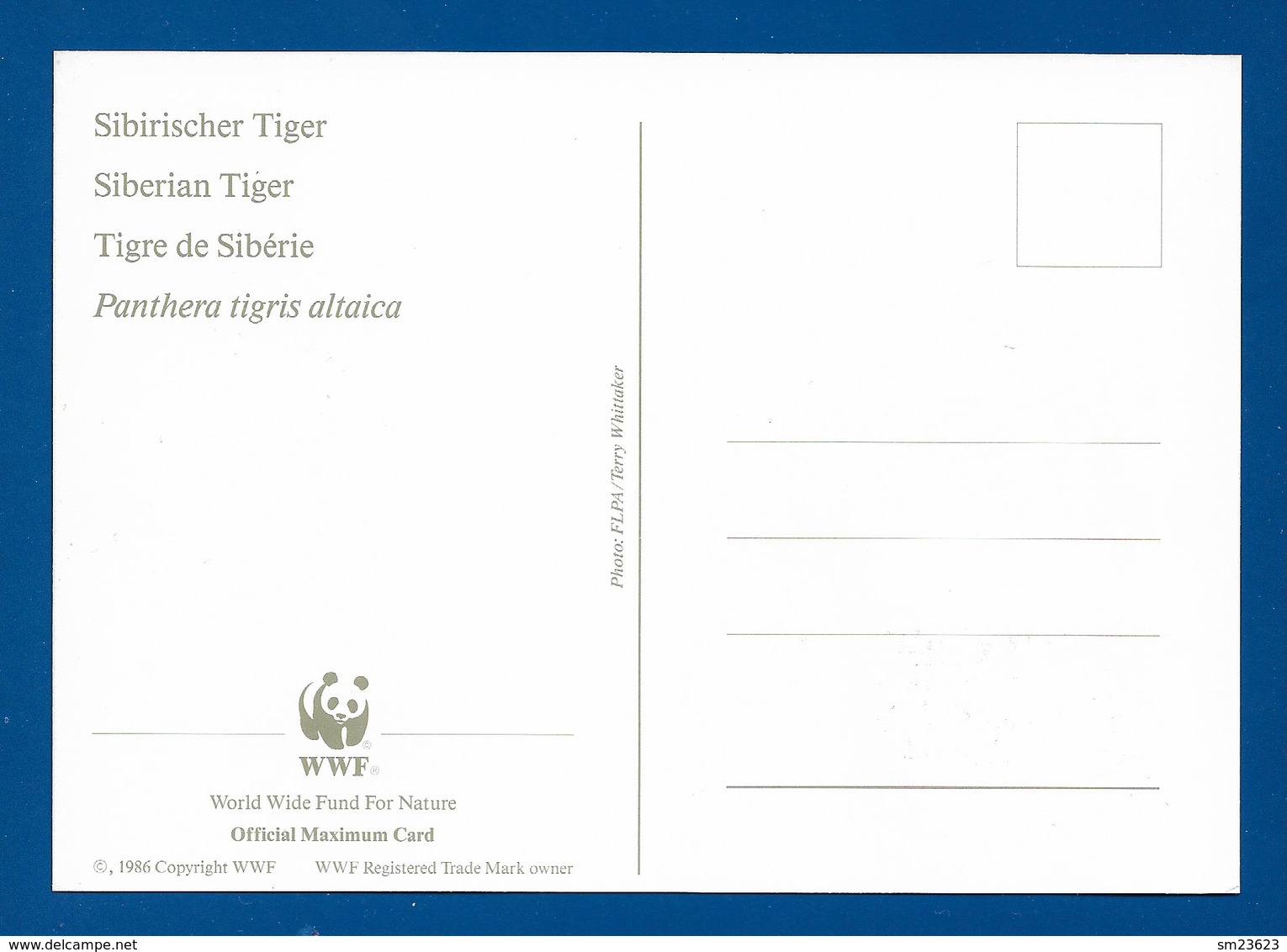 Russland / Russia 1993 Mi.Nr. 344 , Sibirischer Tiger / Siberian Tiger - WWF Official Maximum Card - Mockba 25-11-1993 - Maximumkarten