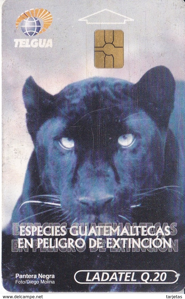 TARJETA DE GUATEMALA DE UNA PANTERA NEGRA (PHANTER-LEOPARD) - Guatemala