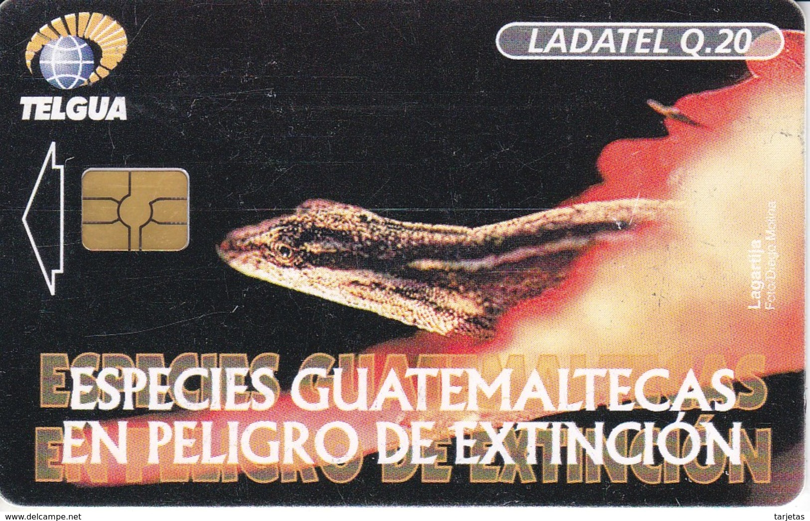 TARJETA DE GUATEMALA DE UNA LAGARTIJA (LADATEL) - Guatemala