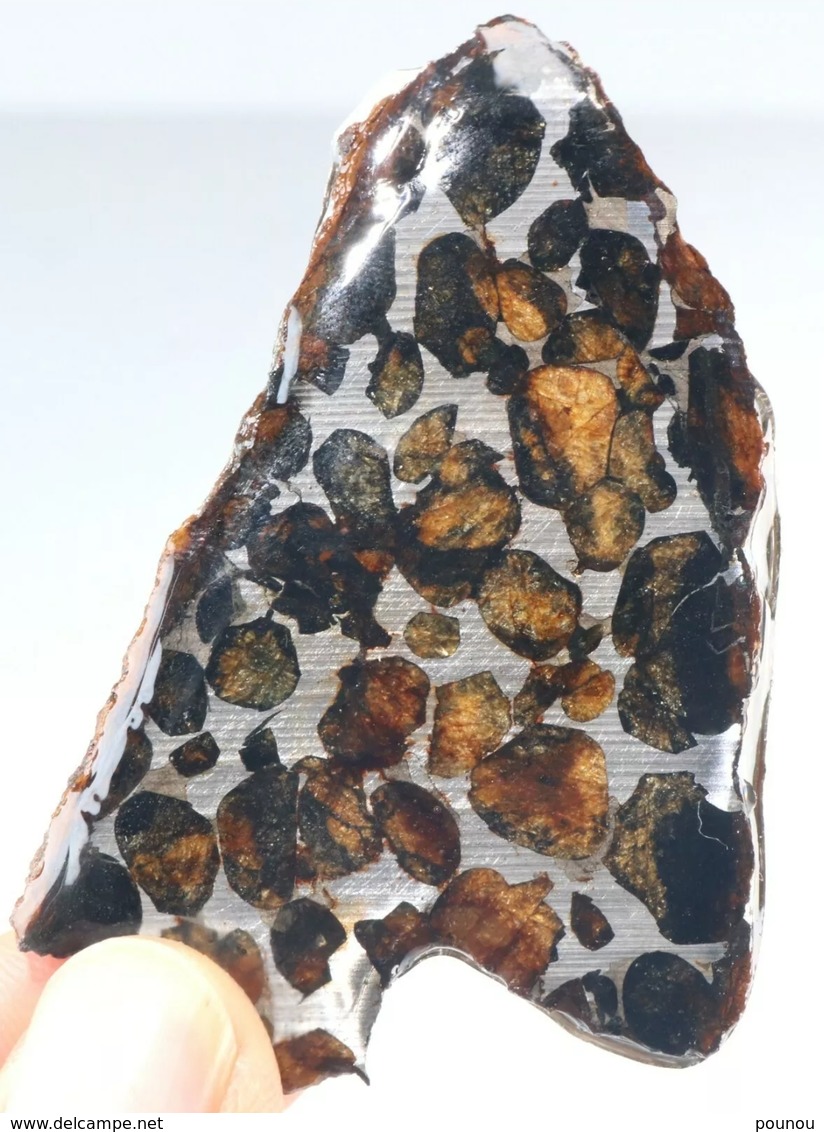 - MÉTÉORITE - PALLASITE - SERICHO - KENYA - 19.20 G - Météorites