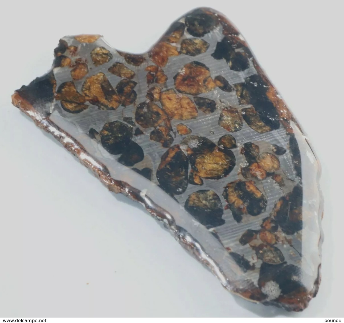 - MÉTÉORITE - PALLASITE - SERICHO - KENYA - 19.20 G - Météorites