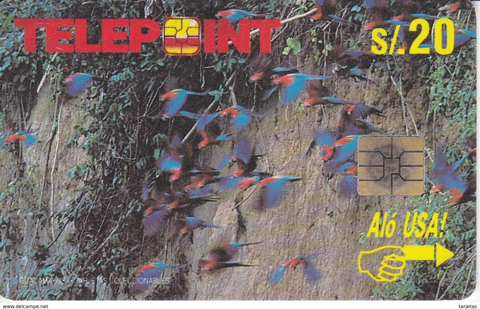 TARJETA DE PERU DE VARIOS LOROS (BIRD-PAJARO-PARROT-LORO) - Pérou