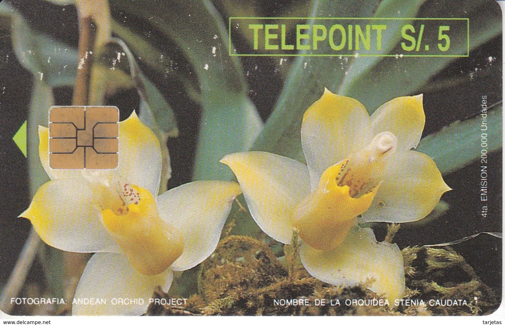 TARJETA DE PERU DE TELEPOINT DE UNA ORQUIDEA (ORCHID-FLOR-FLOWER) - Pérou