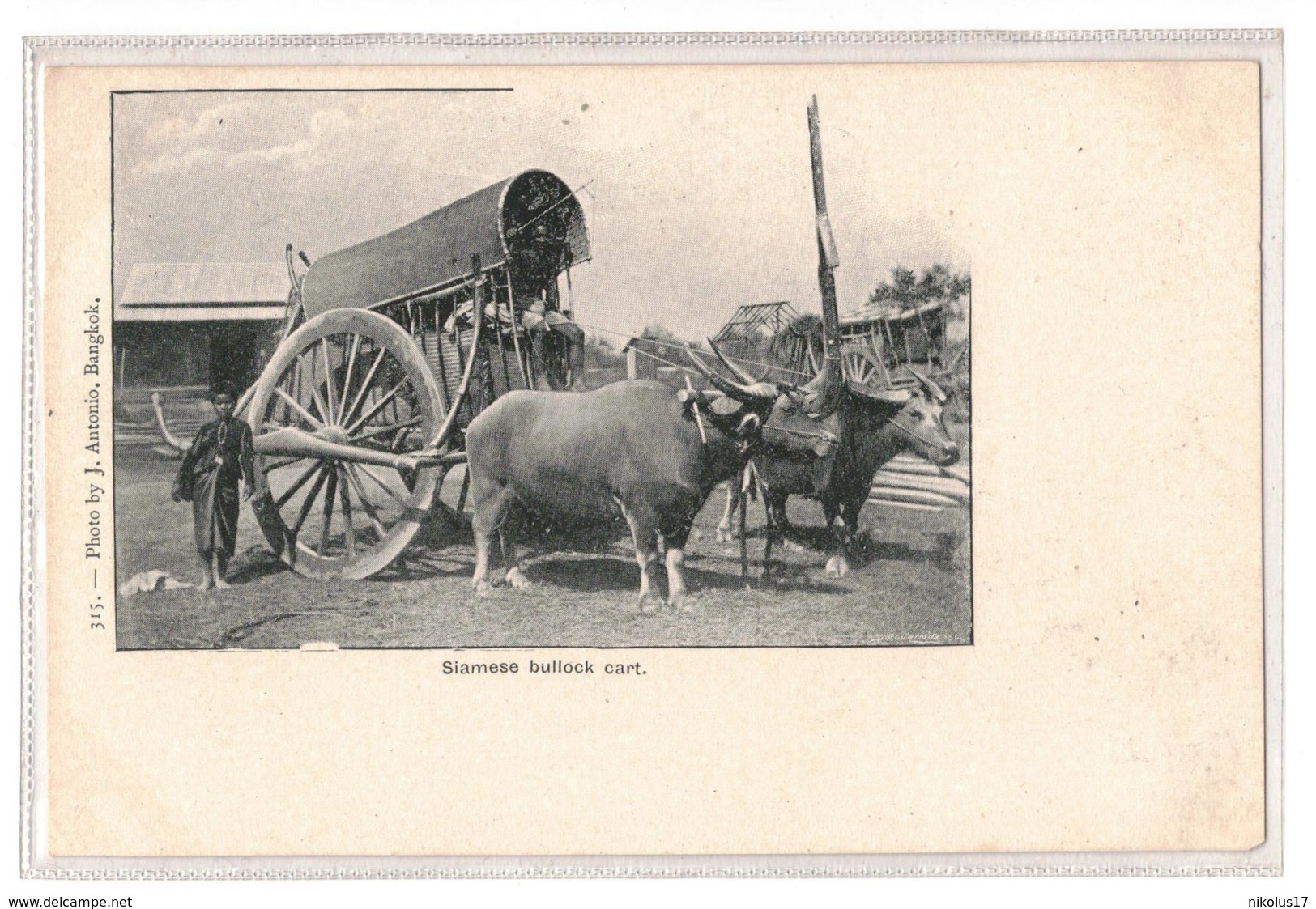 Siam -Siamese Bullock Cart,Antonio No 315 - Thaïland