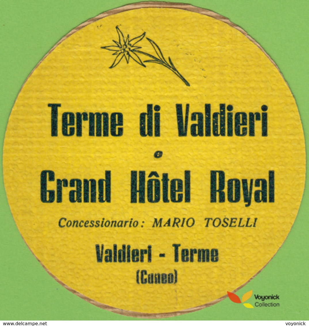 Voyo GRAND HOTEL ROYAL Valdieri - Terme Italy Hotel Label  Sticker 1980s Vintage - Hotel Labels