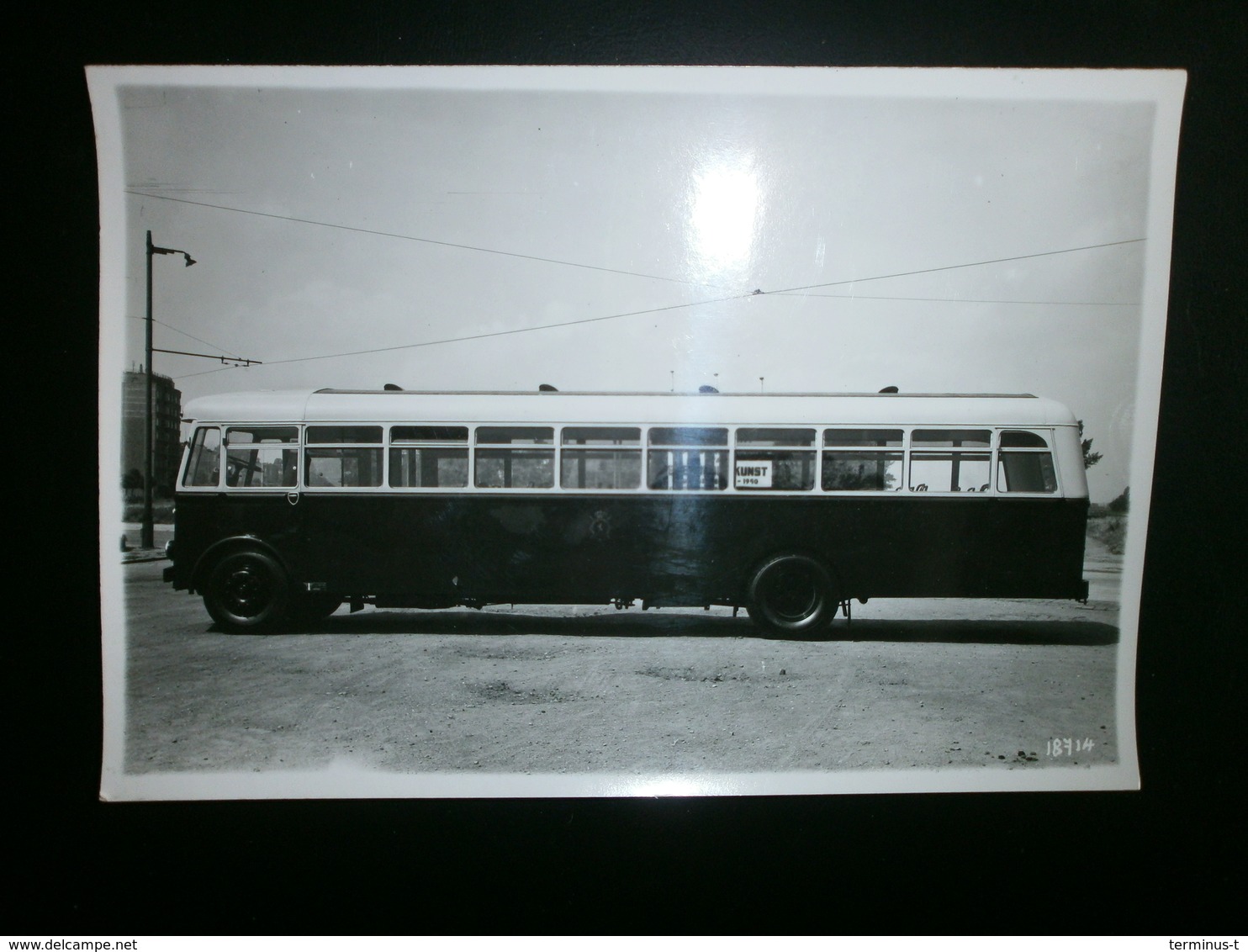 BUS 1940. (Carr.Maes Antwerpen) - Auto's