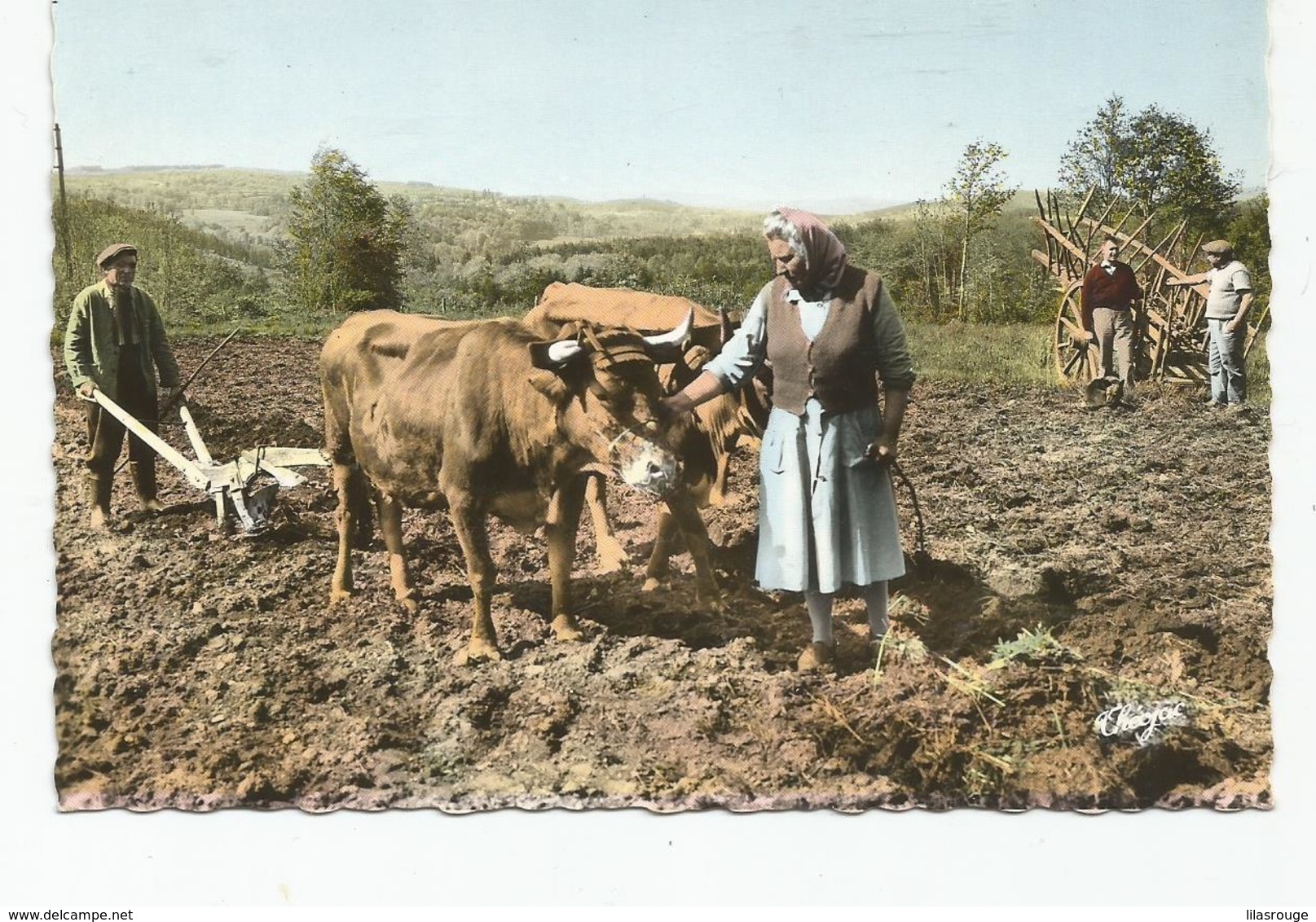 ROYERE SCENE DE LABOURAGE   AVEC VACHE  ET AGRICULTEURS - Royere