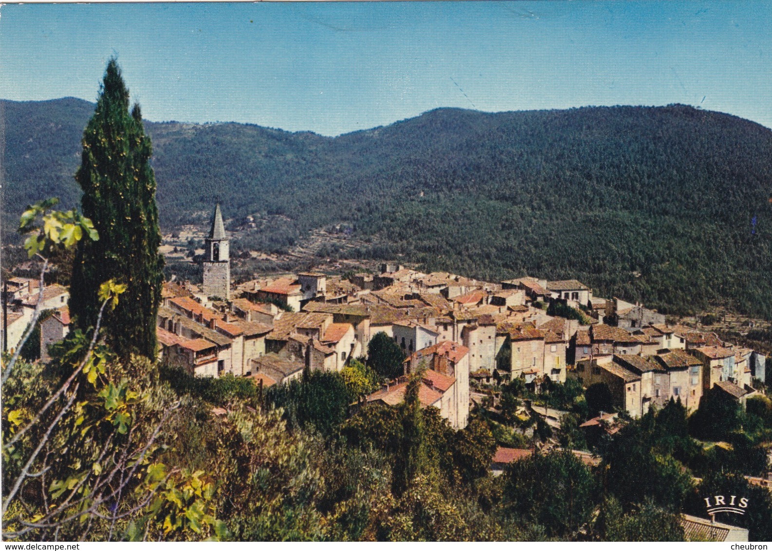 83. BARGEMON. VUE GÉNÉRALE. ANNÉE 1979 + TEXTE - Bargemon