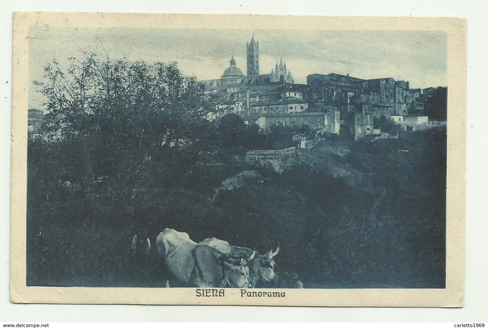 SIENA - PANORAMA 1925  VIAGGIATA FP - Siena