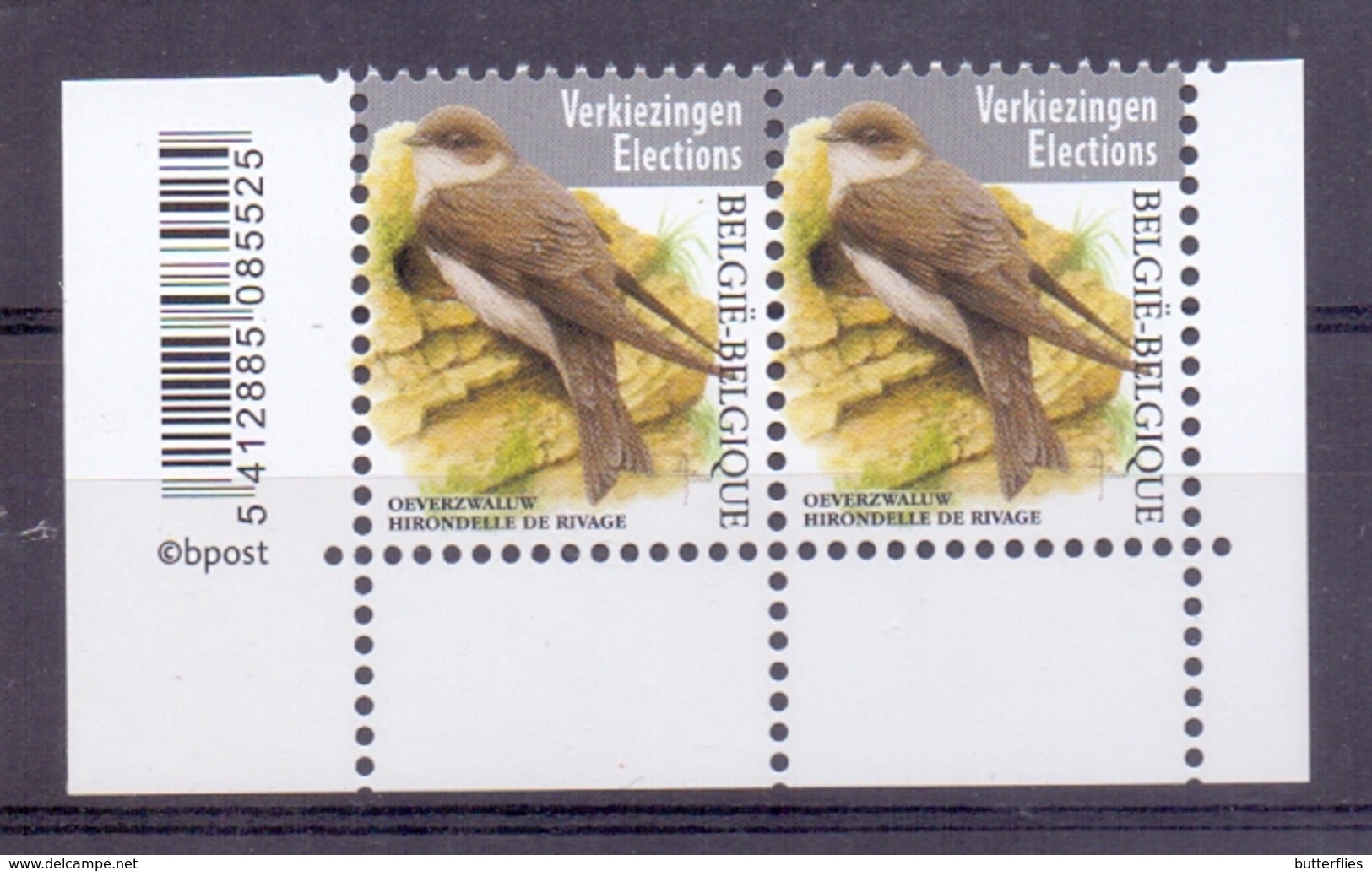 Belgie - 2019 - OBP - ** Oeverzwaluw - A. Buzin ** Matte Gom - 1985-.. Birds (Buzin)