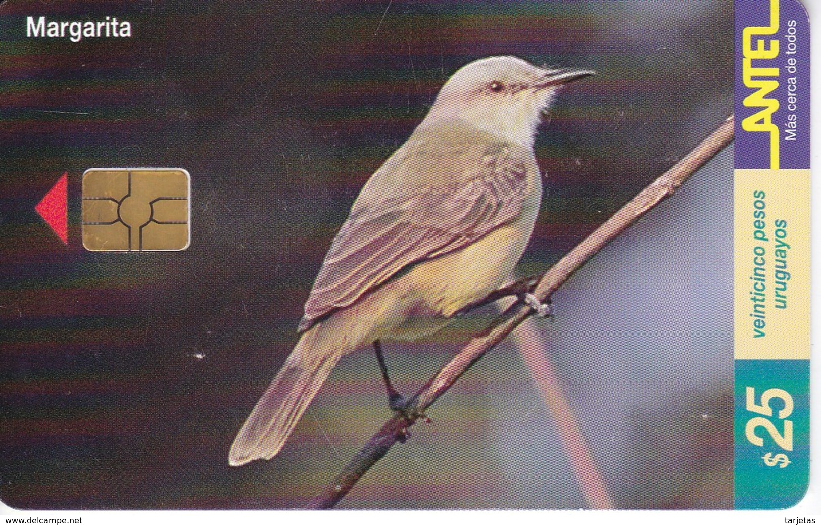 Nº 131 TARJETA DE URUGUAY DE UNA MARGARITA (CHIP NEGRO) (PAJARO-BIRD) - Uruguay