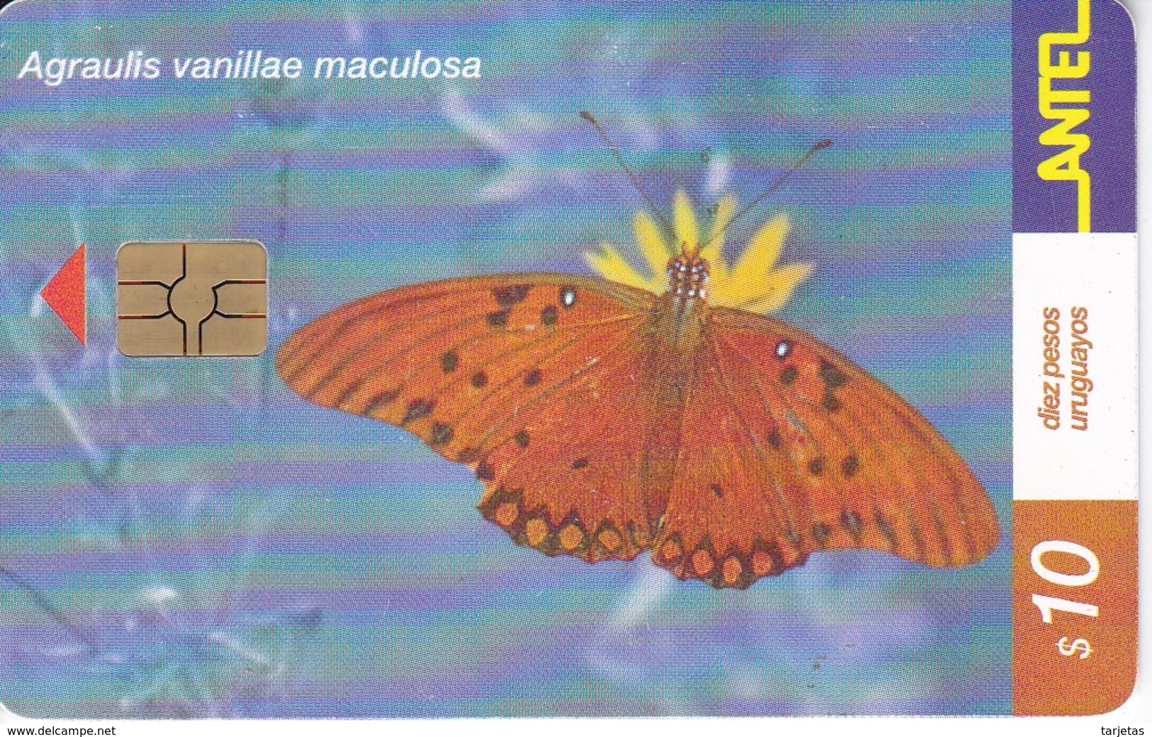 Nº 183 TARJETA DE URUGUAY DE UNA MARIPOSA (CHIP G5 ROJO) BUTTERFLY - Uruguay