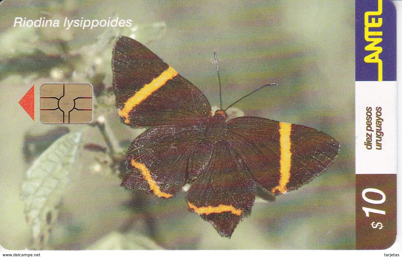 Nº 186 TARJETA DE URUGUAY DE UNA MARIPOSA (CHIP G5 ROJO) BUTTERFLY - Uruguay