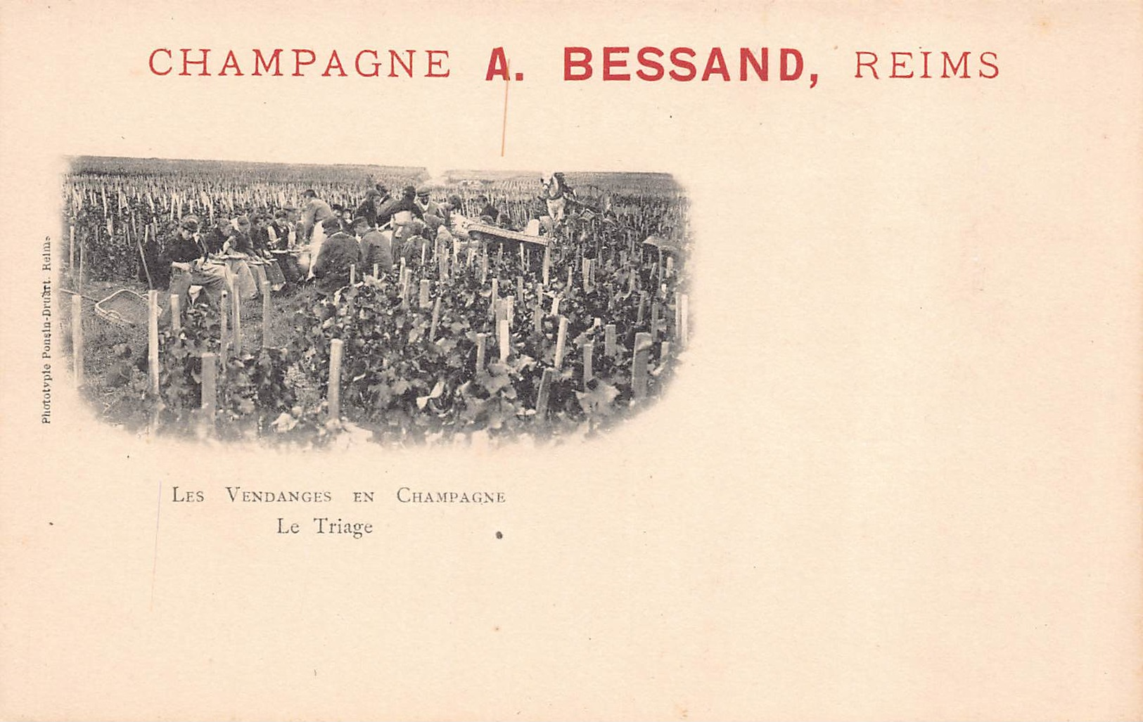 REIMS  - Champagne A. BESSAND  - Les Vendanges  - Le Triage - Reims