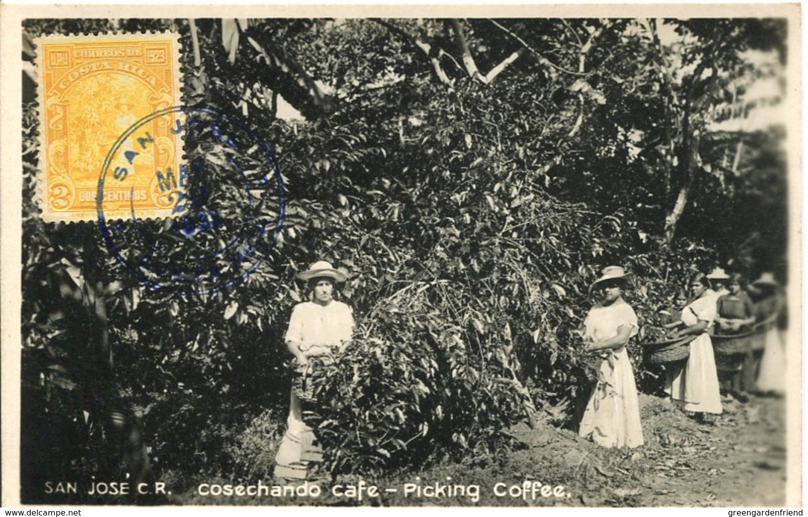 50293 Costa Rica , Maximum 20 March 1933 ,coffee Picker At Work  Le Cafè  The Coffee - Ernährung