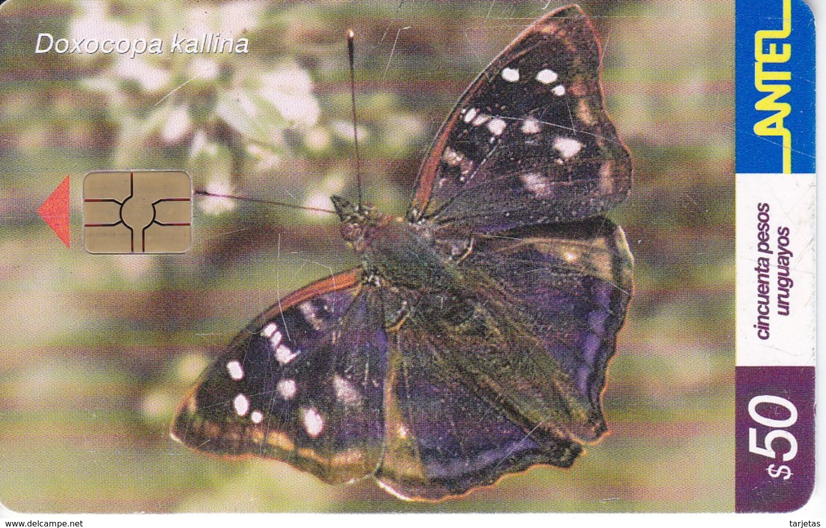 Nº 244 TARJETA DE URUGUAY DE UNA MARIPOSA (CHIP G5 ROJO)(BUTTERFLY) - Uruguay