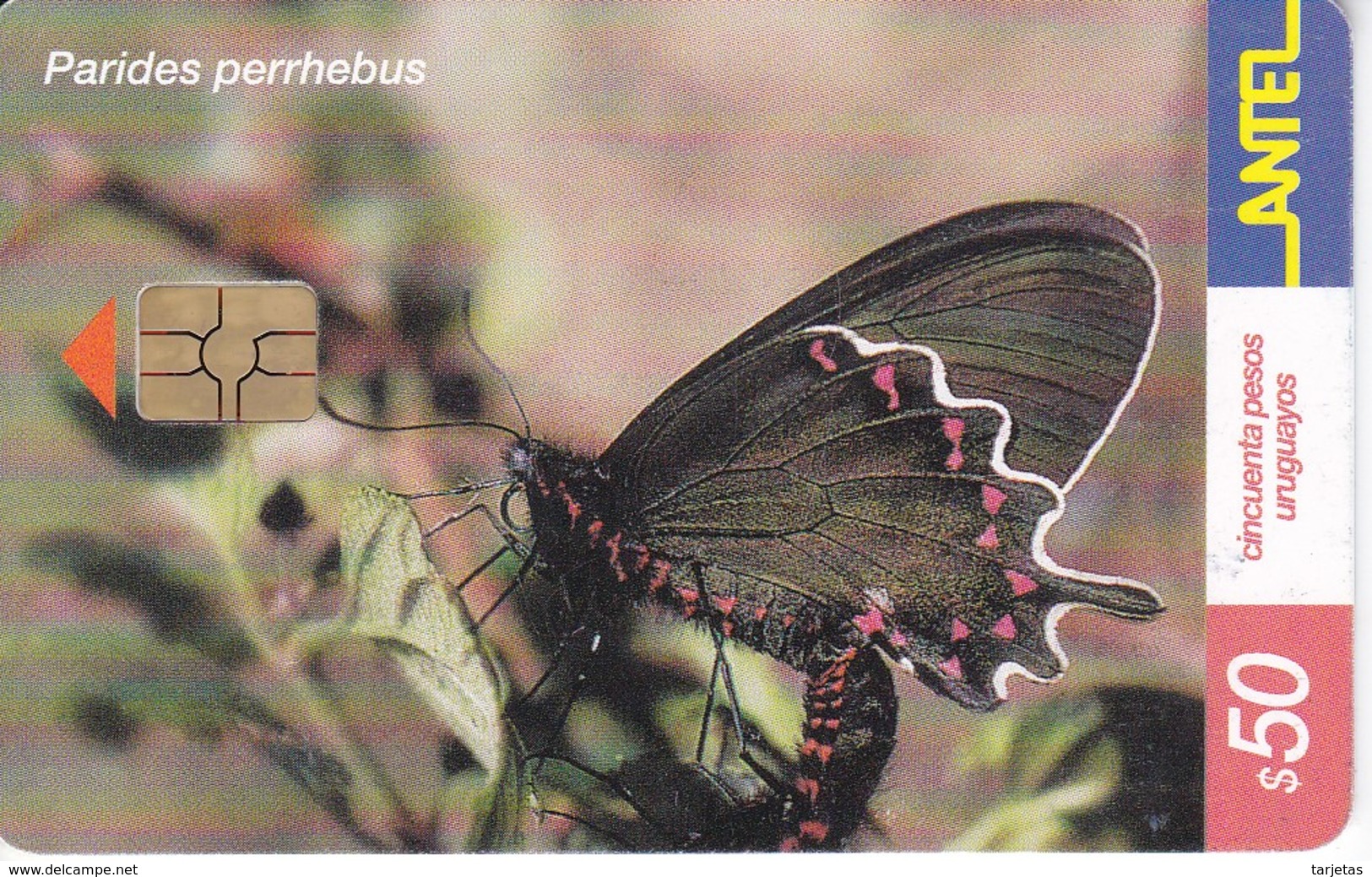 Nº 245 TARJETA DE URUGUAY DE UNA MARIPOSA (CHIP G5 ROJO) (BUTTERFLY) - Uruguay