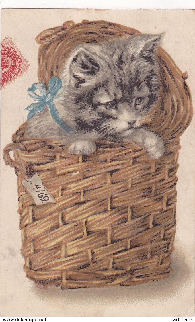 CHAT,CAT,PANIER,CARTE ANCIENNE - Chats