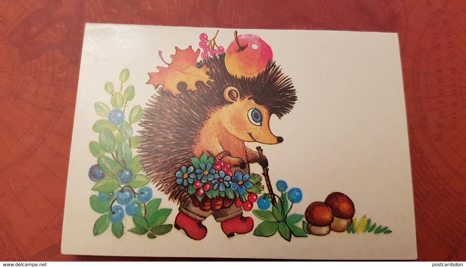 Hedgehog - OLD Soviet PC 1985 -  Mushroom - Champignon - Pilze