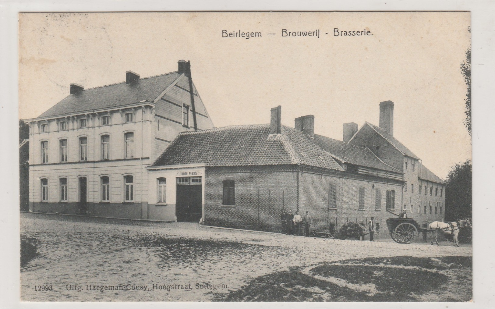 BEIRLEGEM - ( Beerlegem ),Brouwerij - Brasserie (  Bière  , Attelage ) ( N° 12993 ,Haegeman-Cousy  ,  Sottegem ) - Zwalm