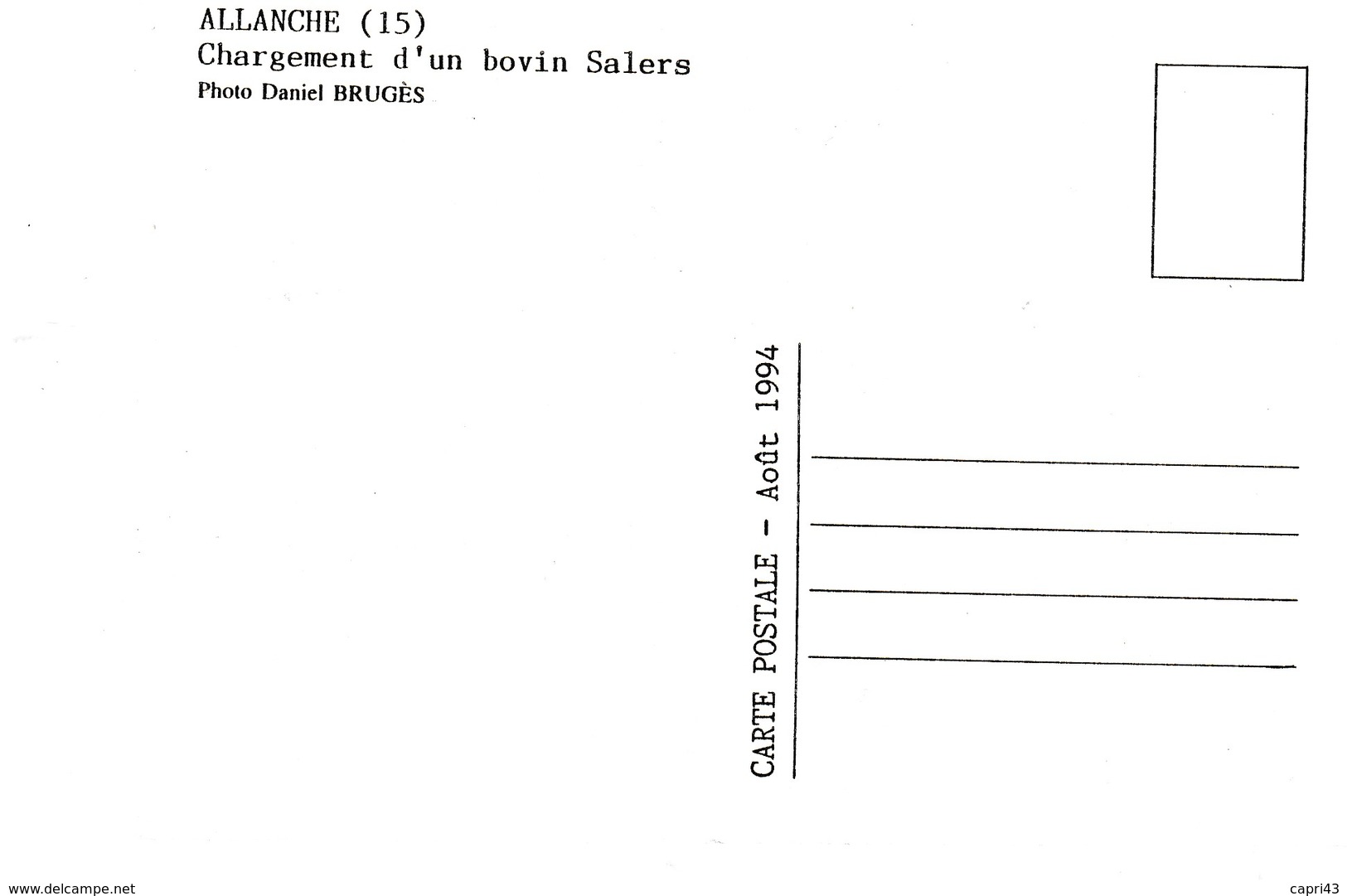 15 ALLANCHE  FOIRE CHARGEMENT  D UN TAREAU SALERS    DANIEL BRUGES 1994 - Allanche