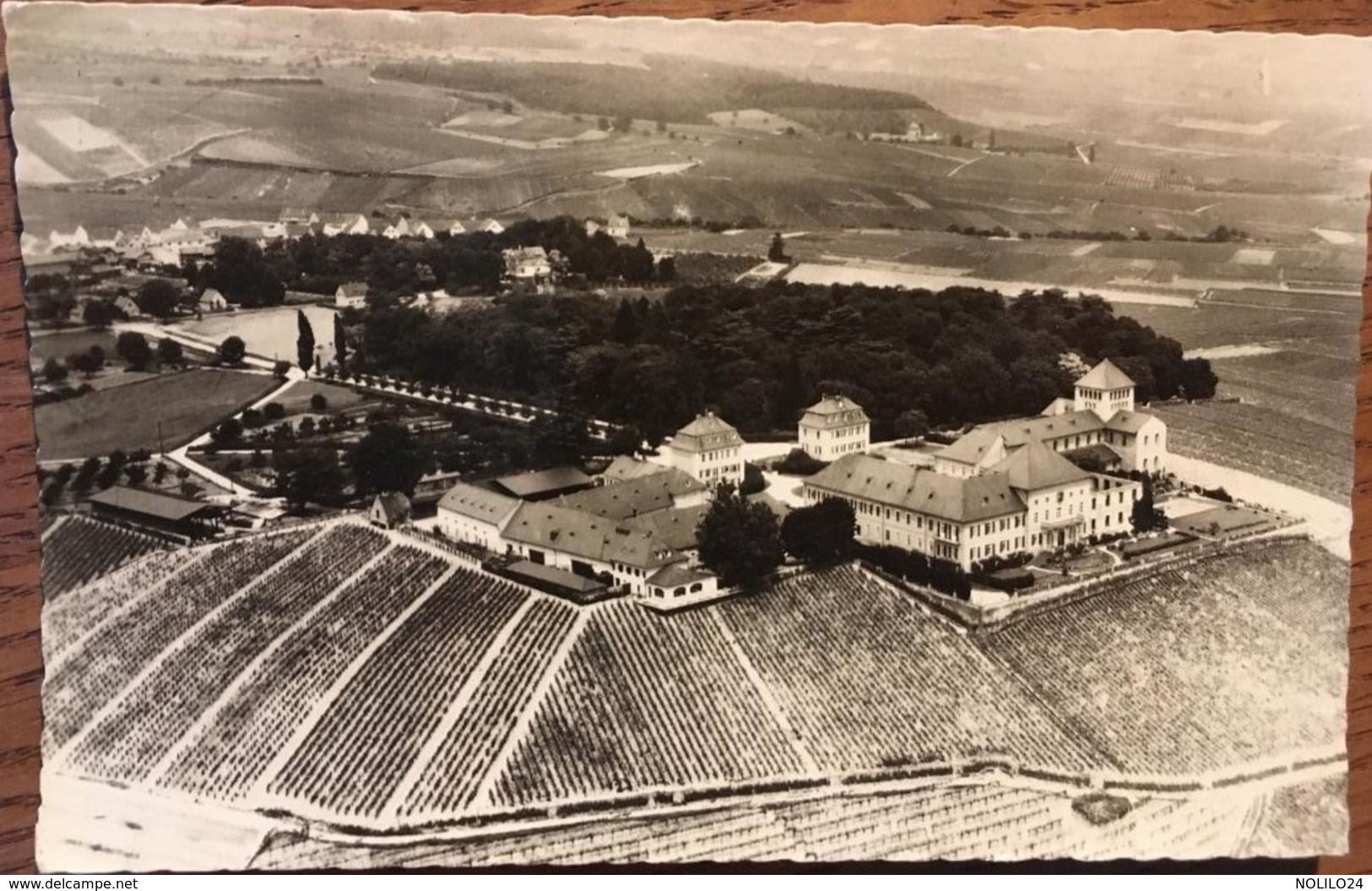 Cpsm, Weingut Schloss Johannisberg Im Rheingau, Besitzer Fürst Von Metternich, Domaine Viticole,(Vin, Cépage Riesling), - Rheingau