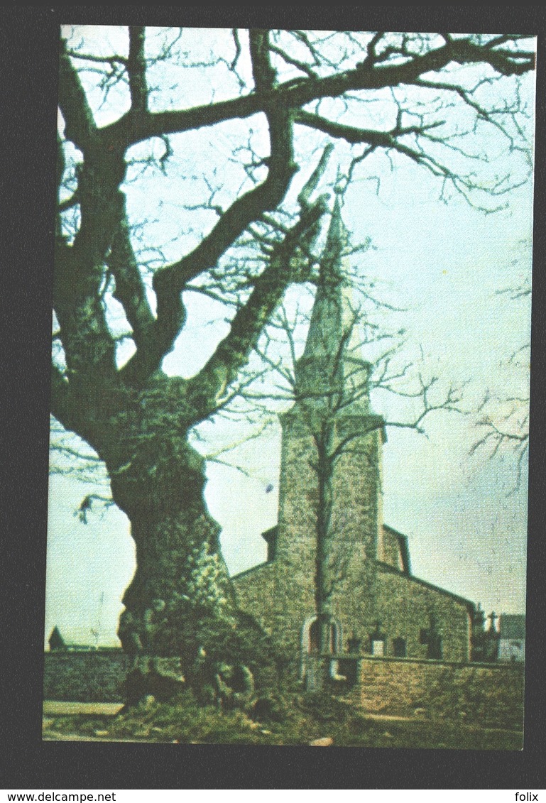 Cherain - L'Eglise - Chromo Végé - Ca 10 X 7 Cm / Pas De Carte Postale - Gouvy