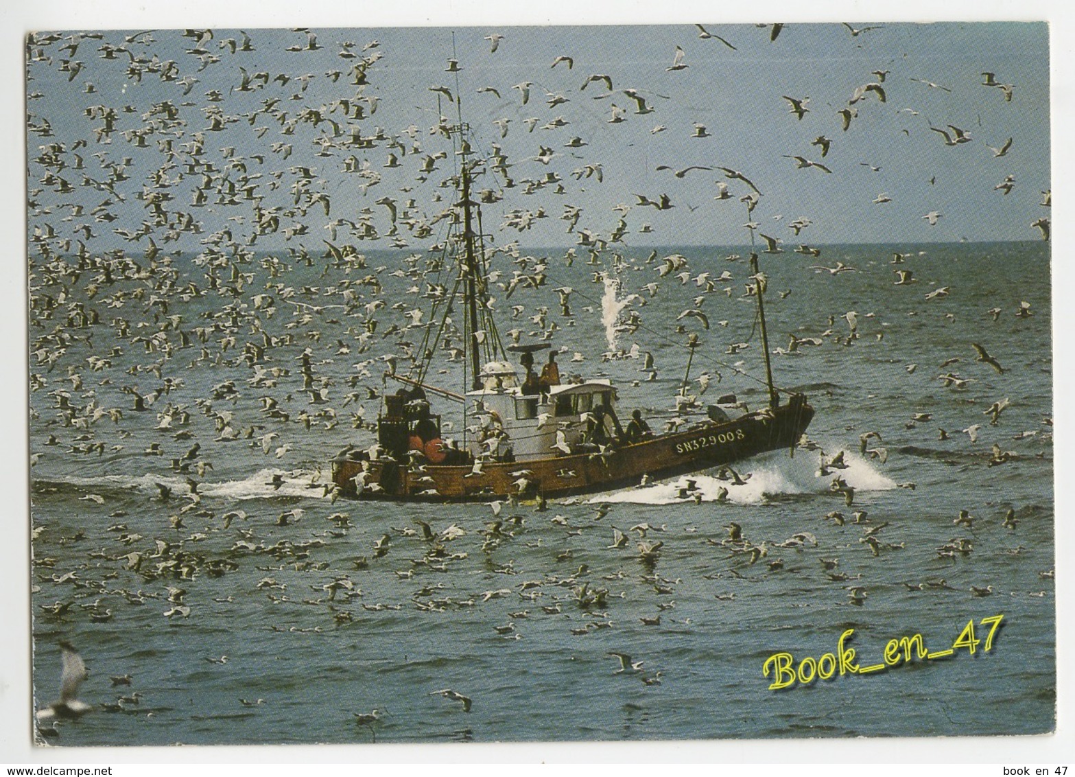 {61298} Retour De Pêche à La Sardine En Bretagne - Pêche