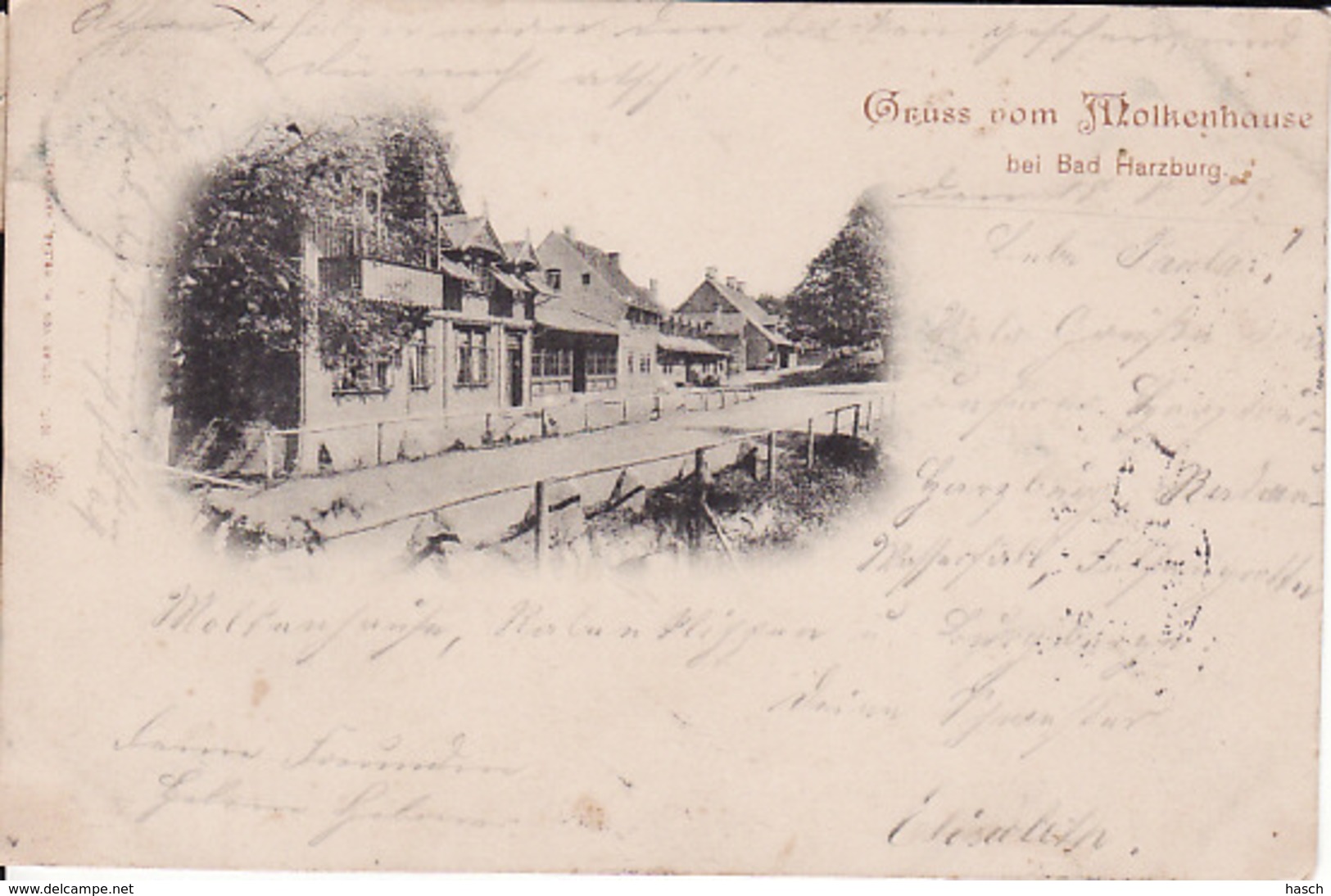 2602101Molkenhause, Gruss Vom 1898 - Bad Harzburg