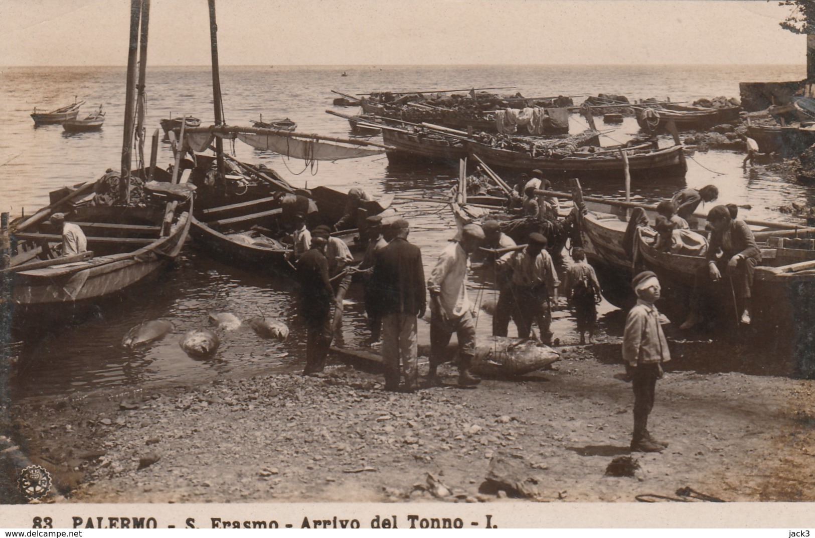 Cartolina - Palermo - S. Erasmo - Arrivo Del Tonno - Caltanissetta