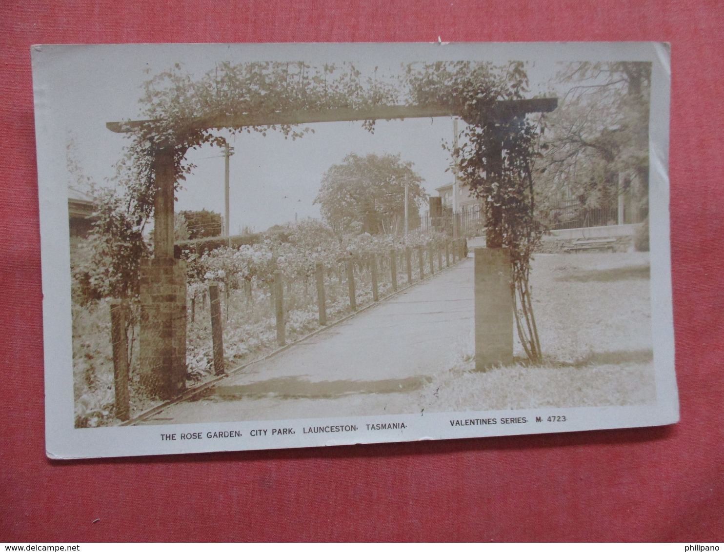 > Tasmania (TAS) > Lauceston  The Rose Garden  RPPC  Ref 3811 - Lauceston