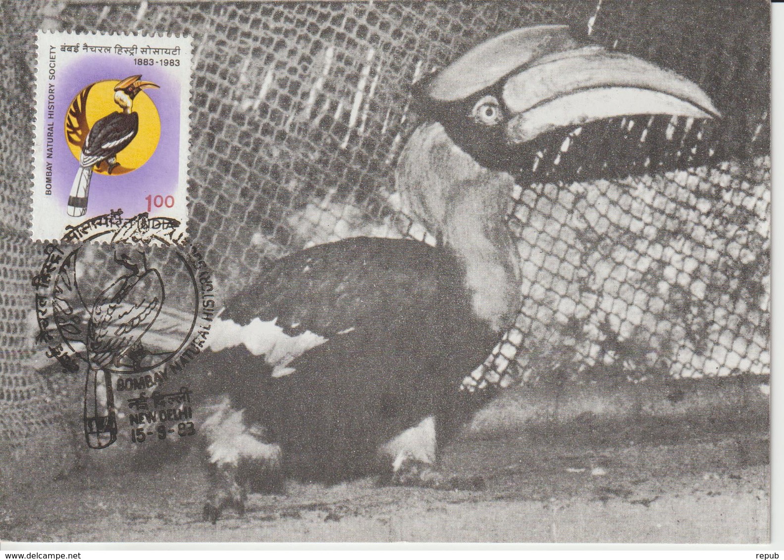 Inde 1983 Carte Maximum Oiseaux Calao 772 - Briefe U. Dokumente