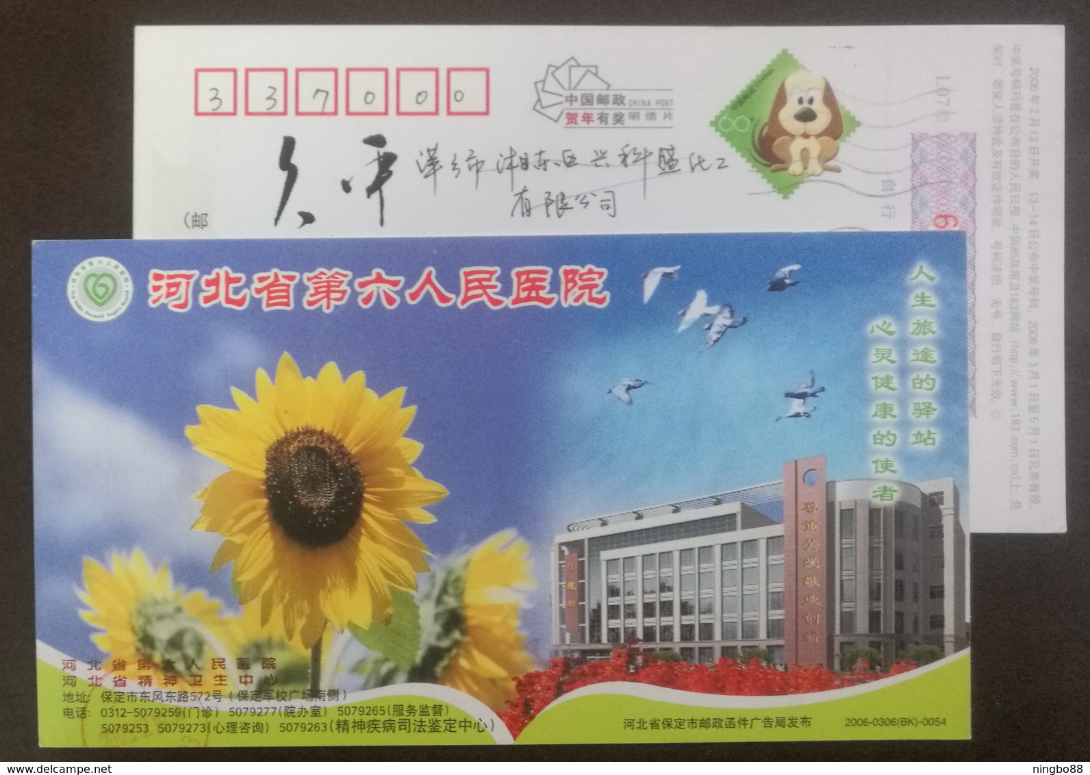 Red-crowned Crane Birds,sunflowers,China 2006 Hebei No.6 People's Hospital Mental Health Center Advert Pre-stamped Card - Medicine