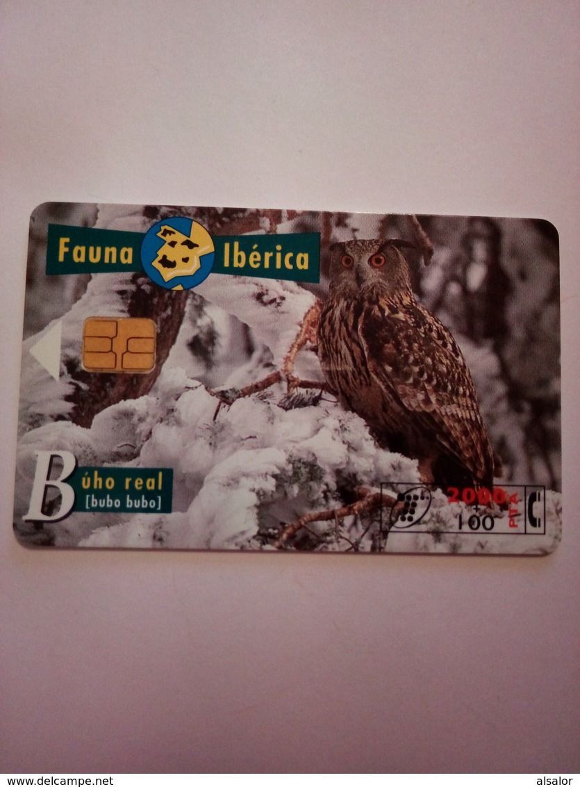 Télécarte D' Espagne : Hibou - Owls