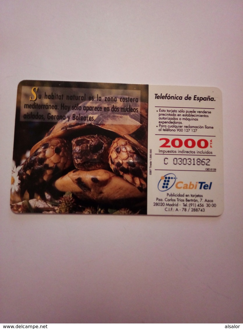 Télécarte D' Espagne : Tortue - Turtles