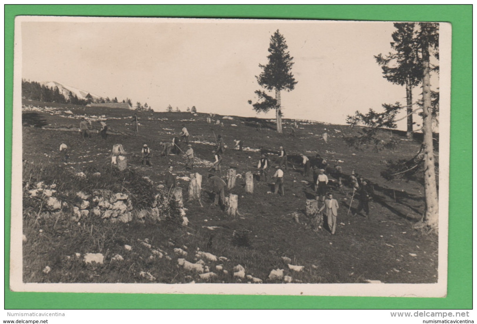 ASIAGO Vezzena Boscaioli Al Lavoro ... Foto  Anni 20 - Luoghi