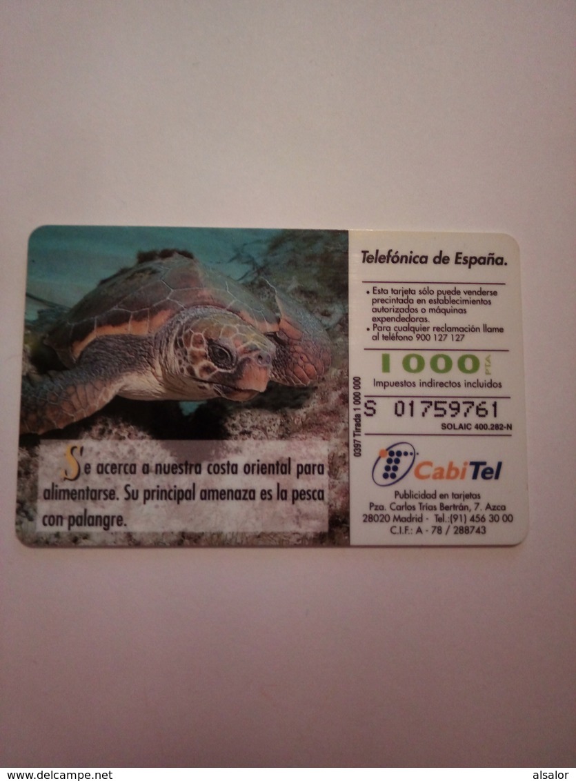 Télécarte D' Espagne : Tortue - Schildpadden