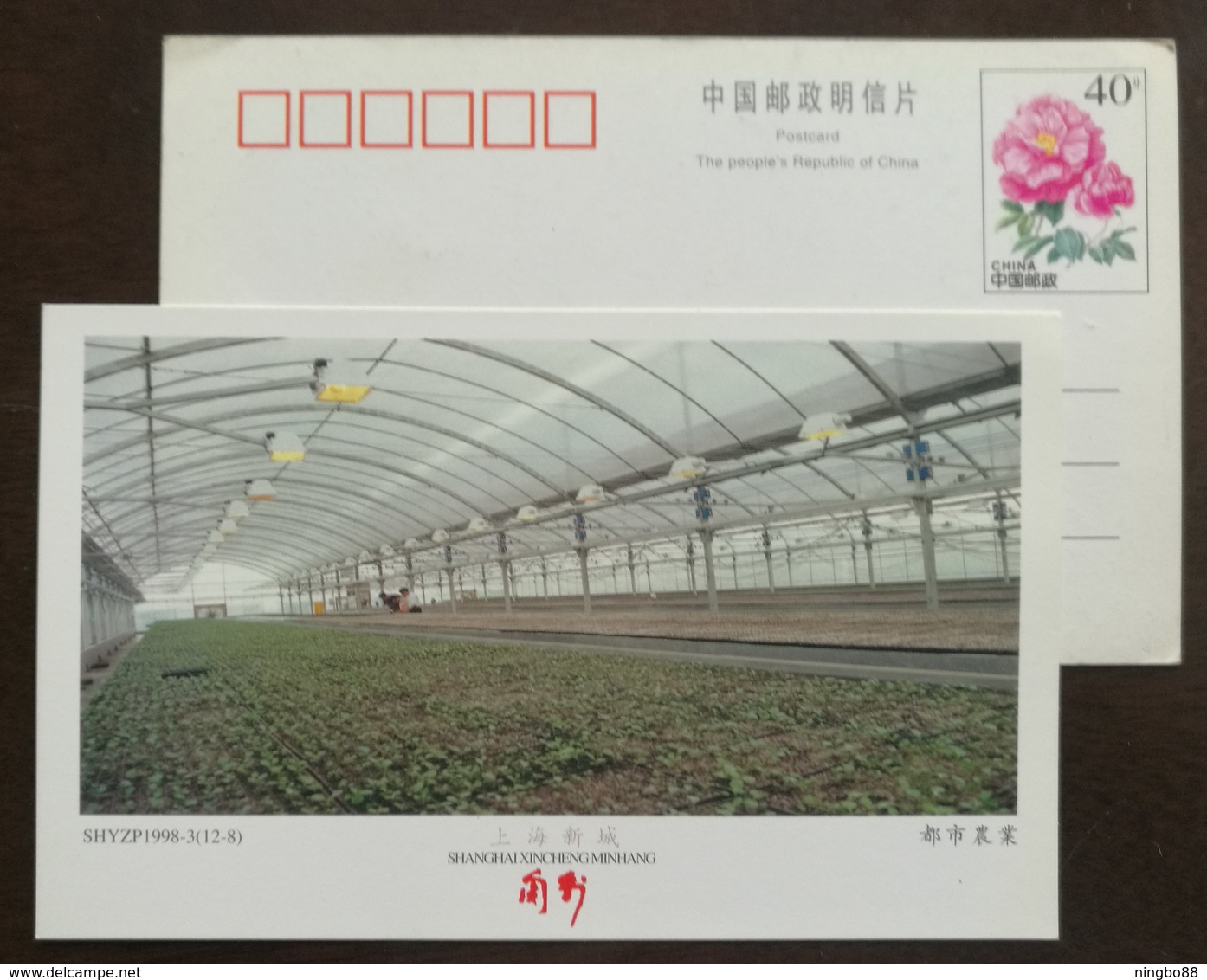 Modern Greenhouse Planting Base,China 1998 Shanghai Urban Agriculture Advertising Pre-stamped Card - Landbouw