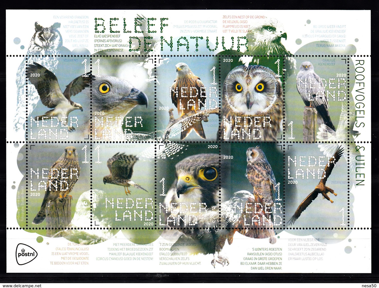 Nederland 2020, Nvph ?? , Mi Nr ??, Beleef De Natuur, Roofvogels, Birds Of Prey, Uilen, Owl, Valk, Falcon - Unused Stamps