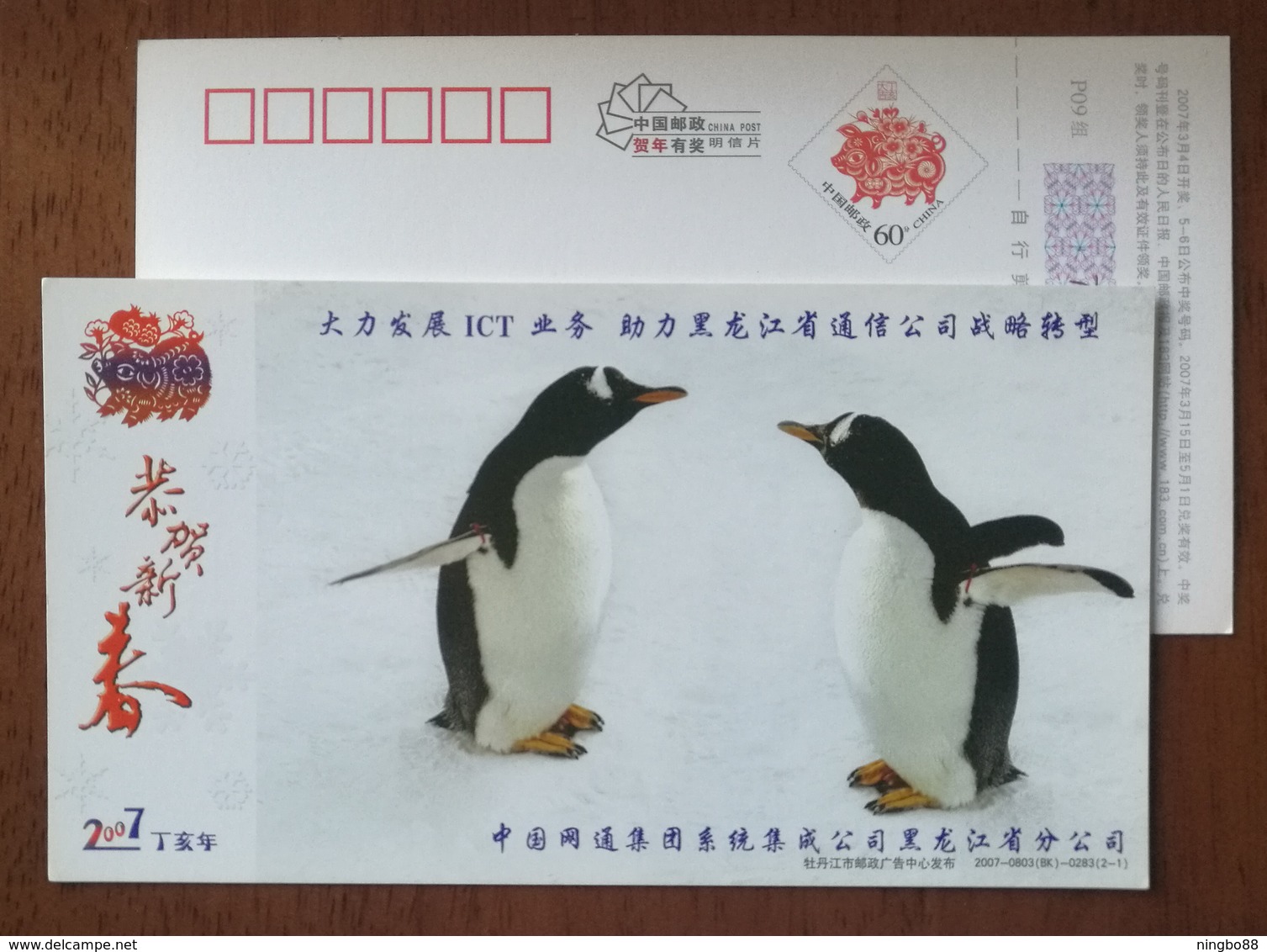 Penguin,China 2007 China CNC Group Developing ICT Business Advertising Pre-stamped Card - Faune Antarctique