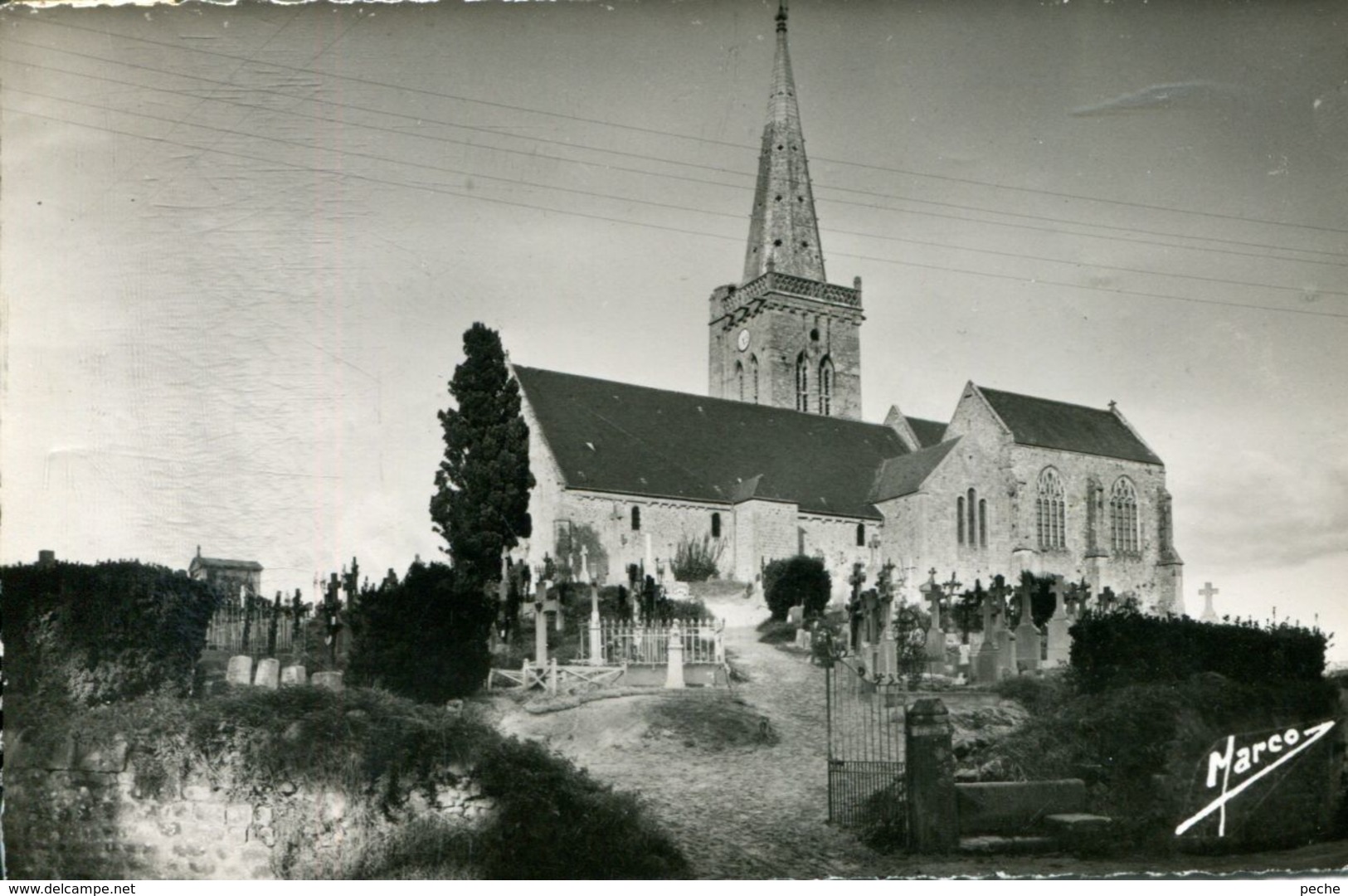 N°1041 T -cpsm Réville -l'église- - Autres & Non Classés