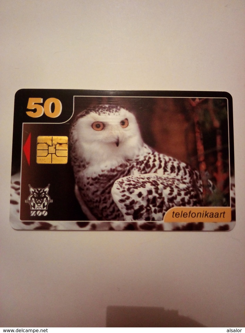 Télécarte D' Estonie : Chouette - Owls