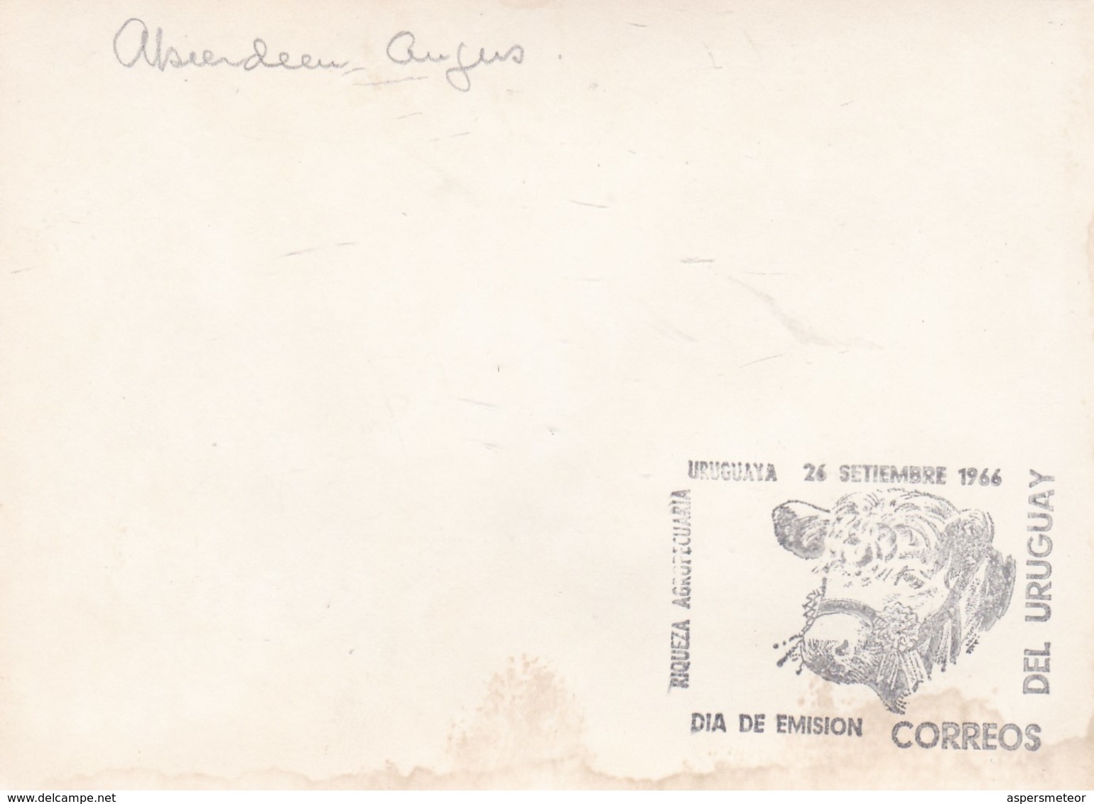 RIQUEZA AGROPECUARIA URUGUAYA - ABERDEEN ANGUS, COW VACHE VACA. URUGUAY 1966 FDC MAXIMUM CARD RARE -LILHU - Cows