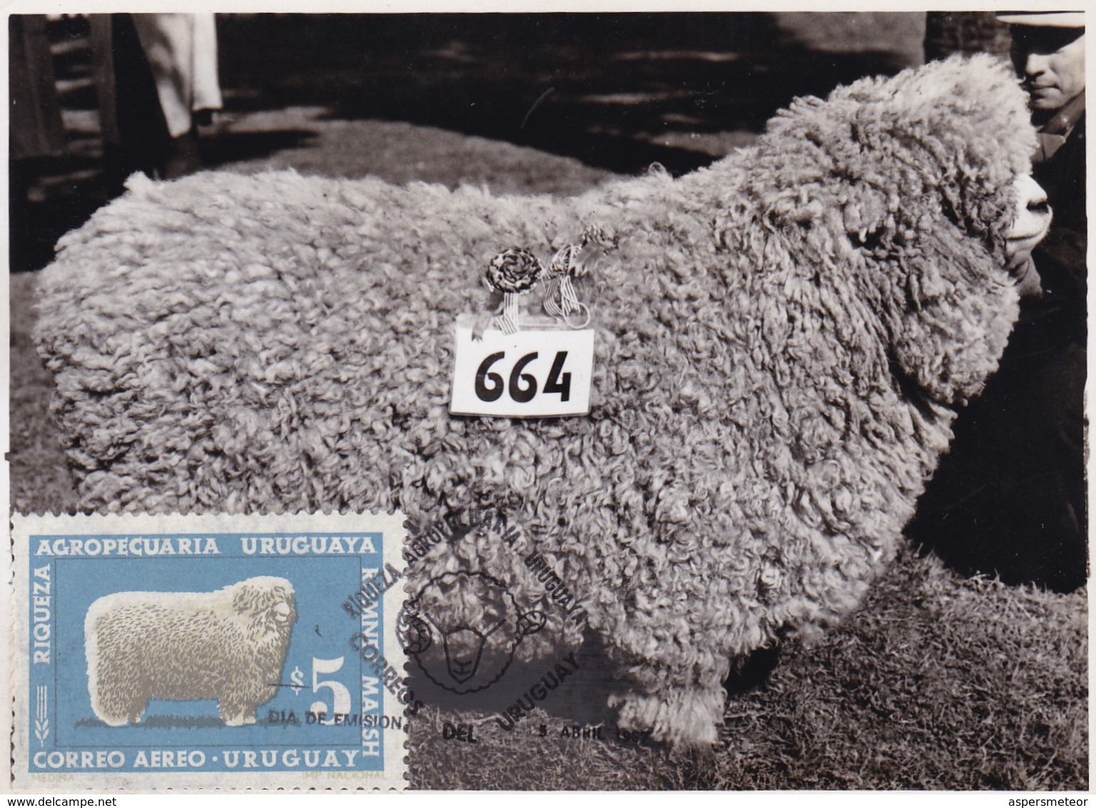 RIQUEZA AGROPECUARIA URUGUAYA - ROMNEY MARSH, OVEJA SHEEP MOUTON. URUGUAY 1966 FDC MAXIMUM CARD RARE -LILHU - Farm