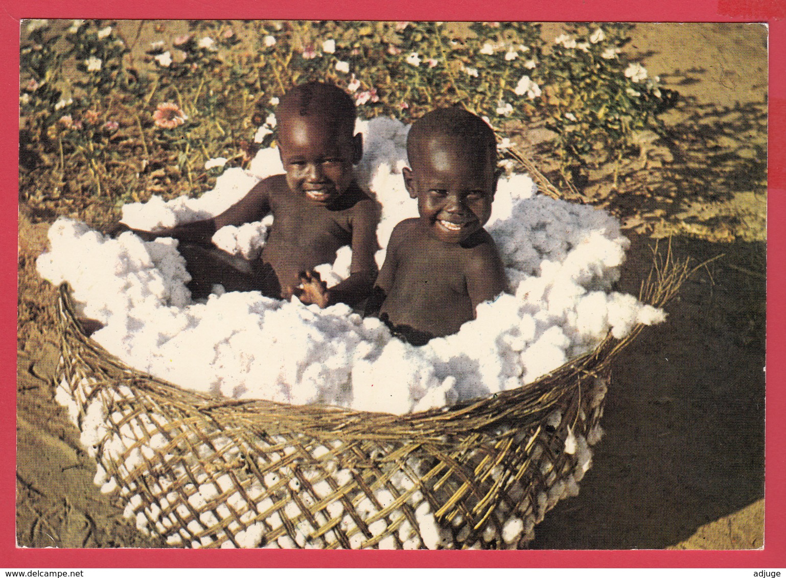 TCHAD - Enfants SARAS Dans Un Panier De Coton - Région De KOUMRA* 2 SCANS *** - Tchad