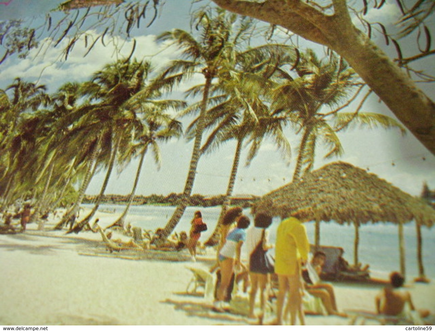 8 CARD REPUBLICA REP  DOMINICANA  N1975 HJ3320