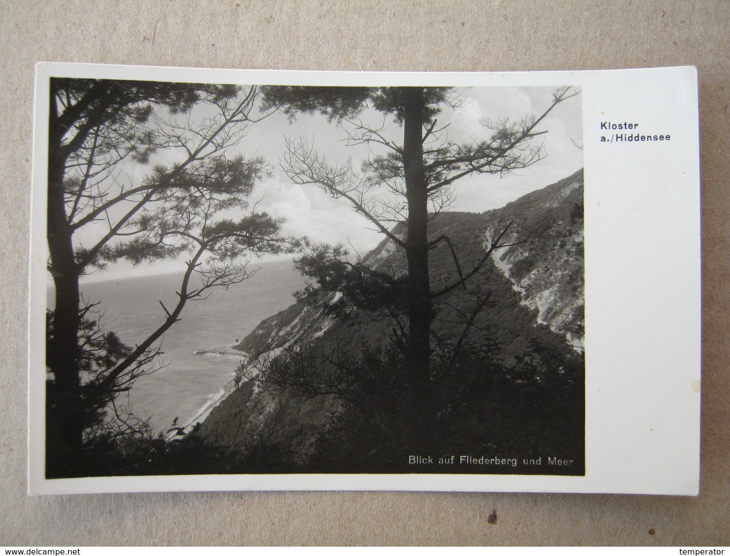 Germany / Blick Auf Fliederberg Und Meer - Kloster A. / Hiddensee, 1932. - Hiddensee