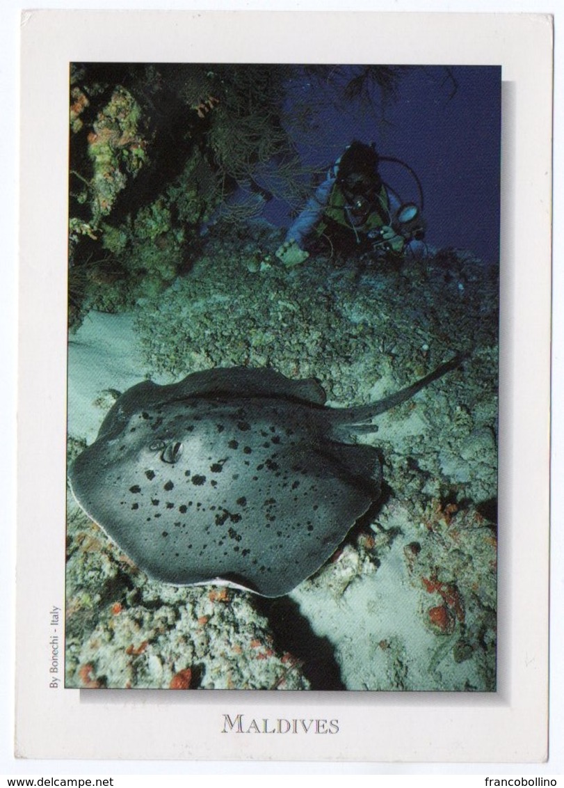 MALDIVES - BLACK STINGRAY-TAENIURA MELANOSPILOS (PHOTO ANDREA GHISOTTI) / THEMATIC OVERPRINT STAMP-FLOWERSSHIP - Maldive