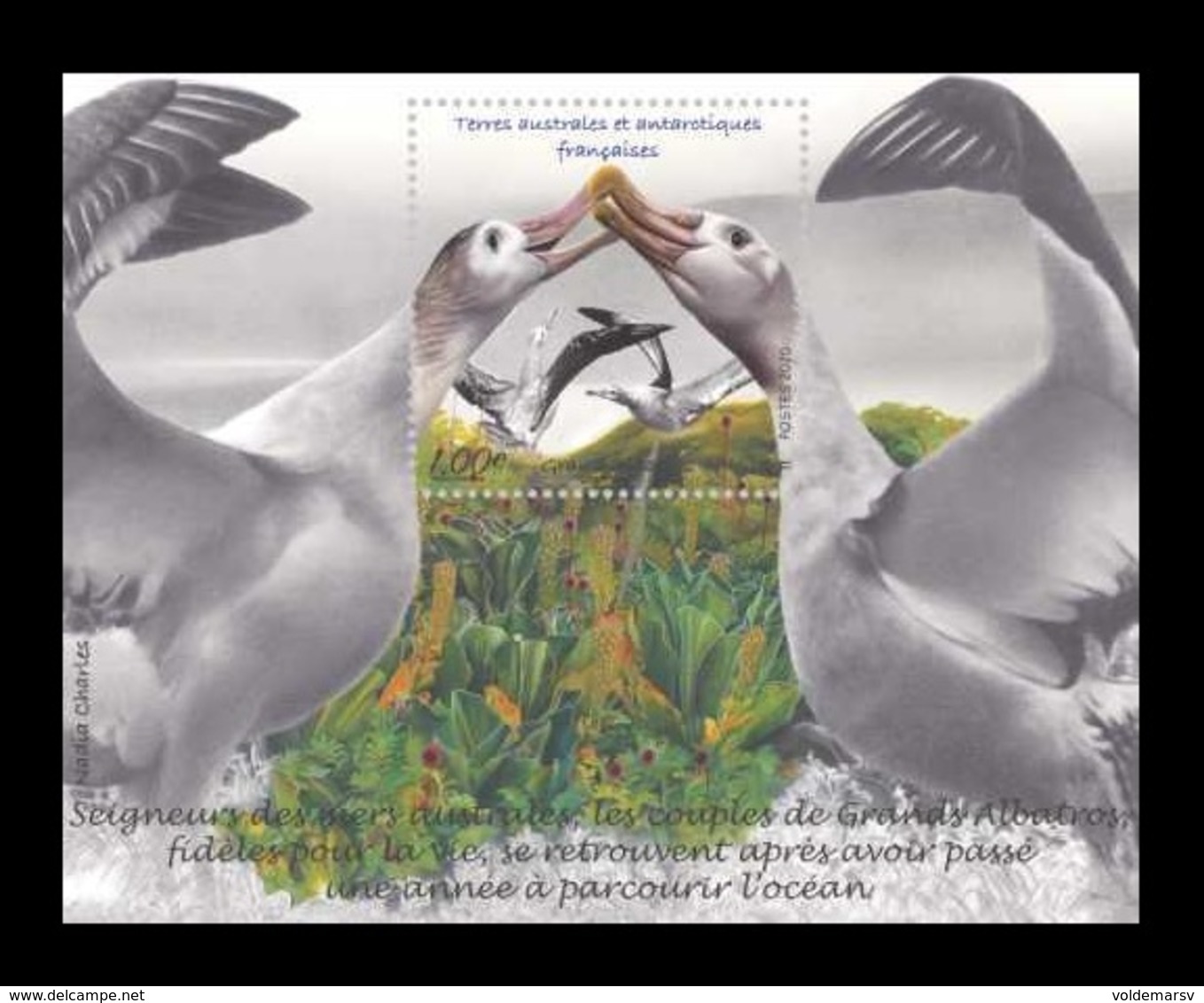 TAAF 2020 Mih. 1065 (Bl.77) Fauna. Birds. Albatrosses MNH ** - Unused Stamps
