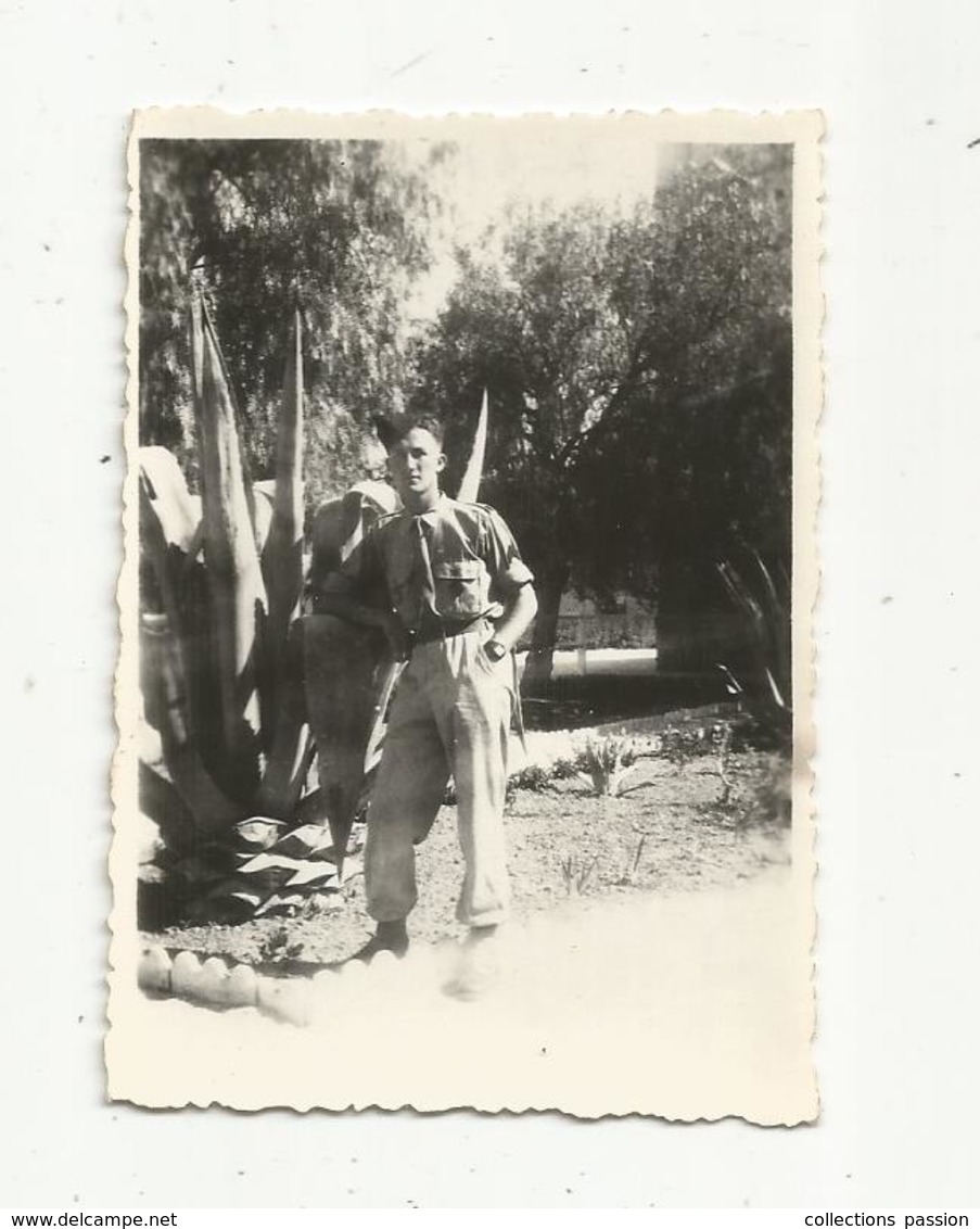 Photographie , Issue D'un Album , Militaria , Militaire ,1947, Tunisie - War, Military